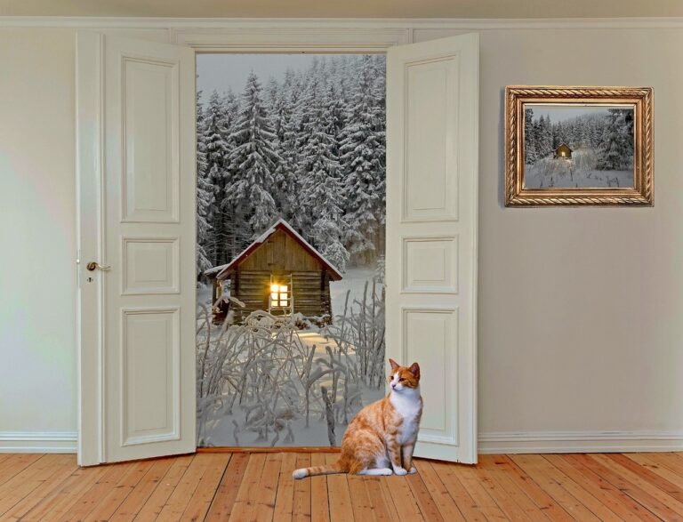 DIY Security Upgrades for Peace of Mind